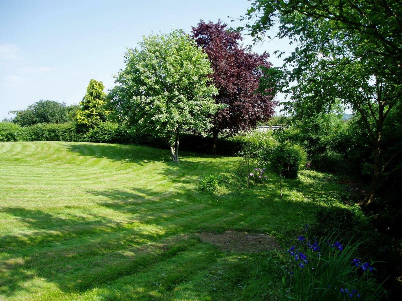 Rhydspence Guest House Hay-On-Wye Ruang foto